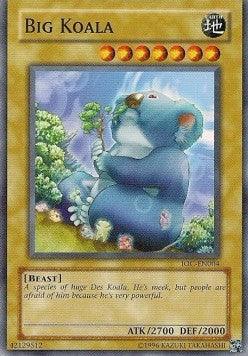 Big Koala [IOC-EN004] Common (ONLINE ORDER ONLY)