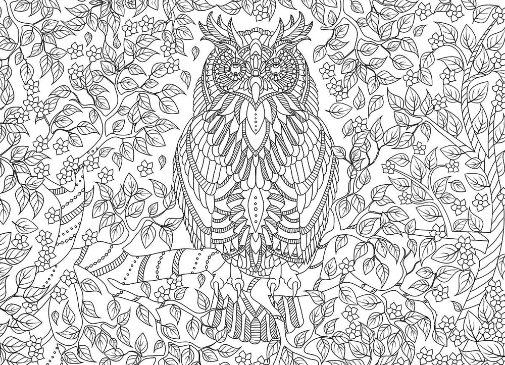 Puzzle: Color-Me Collection - Vibrant Wisdom (ONLINE ORDER ONLY)