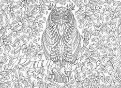Puzzle: Color-Me Collection - Vibrant Wisdom (ONLINE ORDER ONLY)