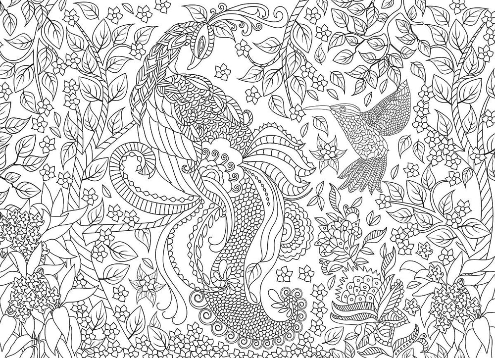 Puzzle: Color-Me Collection - Tropical Birds