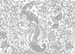 Puzzle: Color-Me Collection - Tropical Birds
