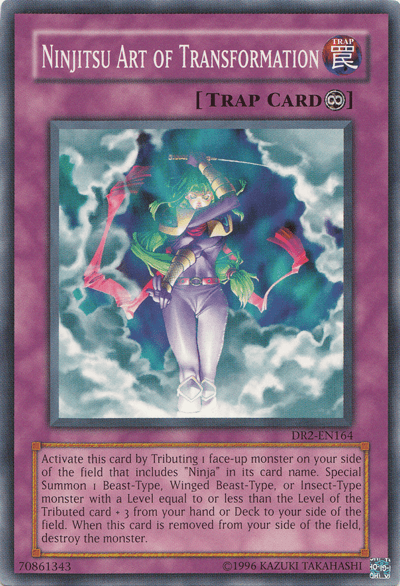 Ninjitsu Art of Transformation [DR2-EN164] Common (ONLINE ORDER ONLY)