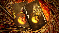 Bicycle Playing Cards: Asteroid (ONLINE ORDER ONLY)