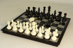 Chess - 14" Magnetic Chess with Checker Set (ONLINE ORDER ONLY)
