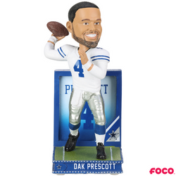Light Up Back Plate Bobbleheads (ONLINE ORDER ONLY)