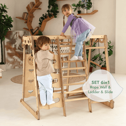 6in1 Indoor Jungle Gym for Toddler: Playground + Swings Set + Slide Board + Rope + Stairs (ONLINE ORDER ONLY)