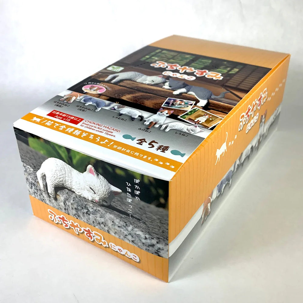 Resting Cats - Blind Box (1 Blind Box) (ONLINE ORDER ONLY)
