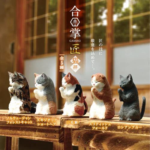 WISHING CATS BLIND BOX (1 Blind Box) (ONLINE ORDER ONLY)