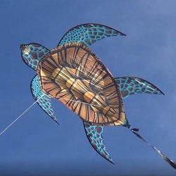 SeaLife Nylon 40 inch wide Turtle Kite (ONLINE ORDER ONLY)