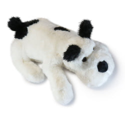 Biscuit Dog (ONLINE ORDER ONLY)