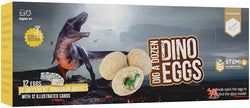 DIG A DOZEN DINO EGGS KIT by Surreal Brands (ONLINE ORDER ONLY)
