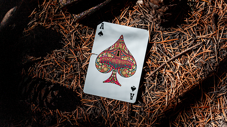 Psychonauts Playing Cards by Joker and the Thief (ONLINE ORDER ONLY)