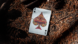 Psychonauts Playing Cards by Joker and the Thief (ONLINE ORDER ONLY)
