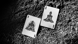 Psychonauts Playing Cards by Joker and the Thief (ONLINE ORDER ONLY)