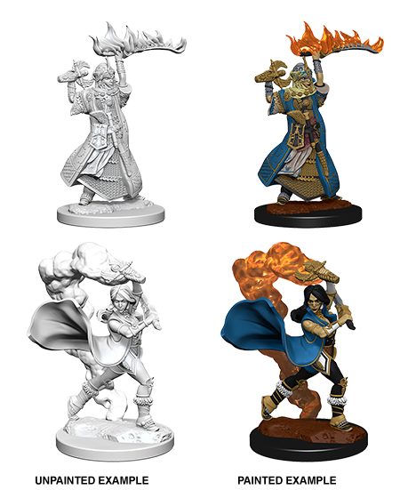 Pathfinder: Deep Cuts - Human Female Cleric (ONLINE ORDER ONLY)