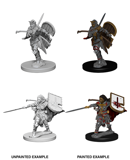 Pathfinder: Deep Cuts - Human Female Paladin (ONLINE ORDER ONLY)