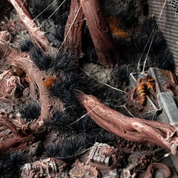 Gamers Grass Tufts: Alien Tufts- Void 6mm- Wild (ONLINE ORDER ONLY)
