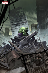 Incredible Hulk (2023) #19E (Online Order Only)