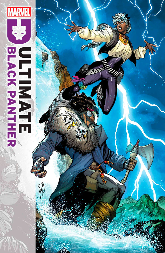 Ultimate Black Panther #3 (ONLINE ORDER ONLY)