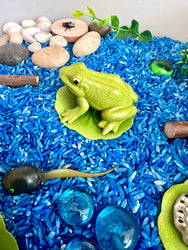 Pond Life Cycle Sensory Kit And Water Play (ONLINE ORDER ONLY)
