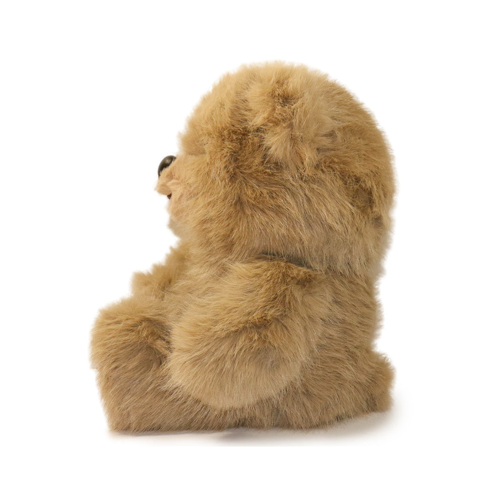 Honeywood Bear (ONLINE ORDER ONLY)