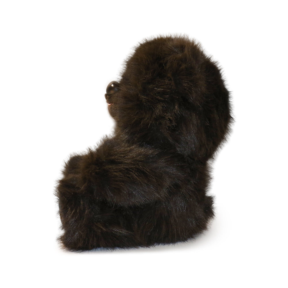 Honeywood Bear (ONLINE ORDER ONLY)