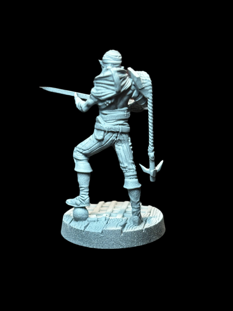 Elf Pirate - Fighter (ONLINE ORDER ONLY)