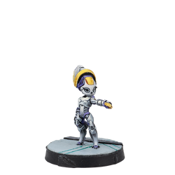 Essentials: ALEPH Support Pack