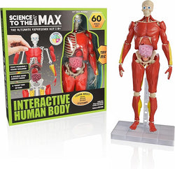 Science to The Max Interactive Human Body Fully Poseable Anatomy Figure - 14” Tall