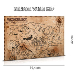 Wonder Boy: Asha in Monster World Collector Edition (Nintendo Switch) (ONLINE ORDER ONLY)