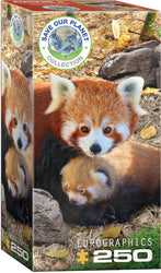 Puzzle: Save Our Planet Puzzles - Red Pandas (ONLINE ORDER ONLY)