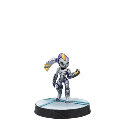 Essentials: ALEPH Support Pack