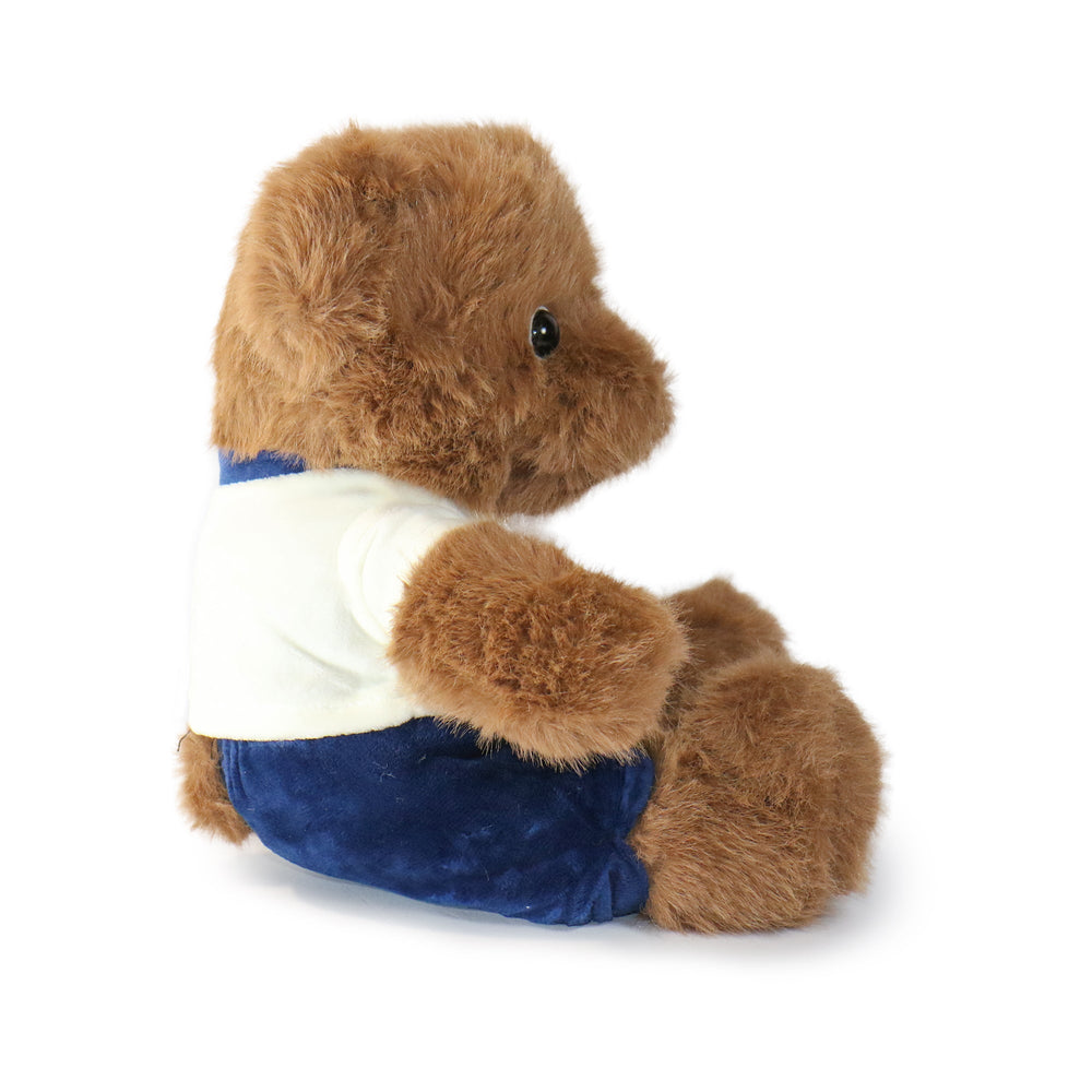 Fashionable Huggable Bear (ONLINE ORDER ONLY)