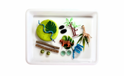 Jungle and Safari Animals Playdough Kit (ONLINE ORDER ONLY)