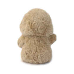 Dashing Bashful Duck (ONLINE ORDER ONLY)