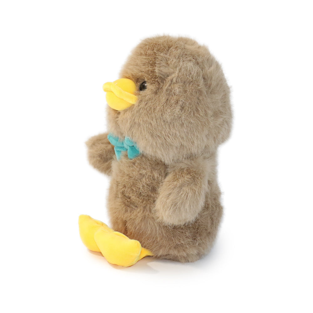 Dashing Bashful Duck (ONLINE ORDER ONLY)
