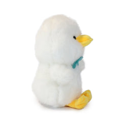 Dashing Bashful Duck (ONLINE ORDER ONLY)