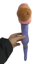 Bakunawa (snake) Plush (ONLINE ORDER ONLY)