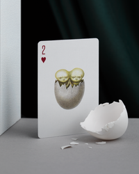 Cabinetarium Playing Cards (ONLINE ORDER ONLY)