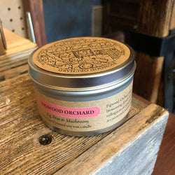 Cantrip Candles (6 oz Candle Tin) (ONLINE ORDER ONLY)