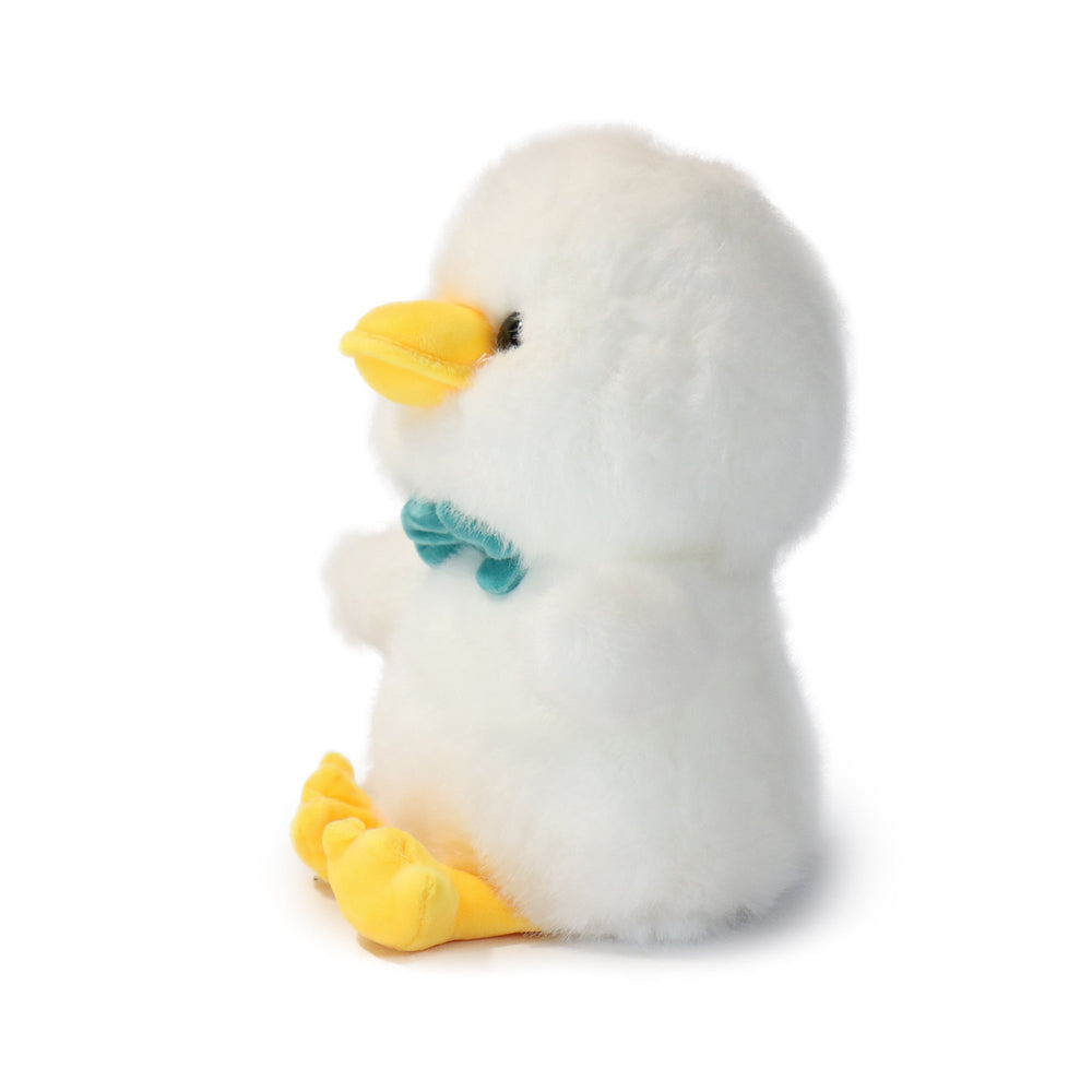 Dashing Bashful Duck (ONLINE ORDER ONLY)