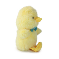 Dashing Bashful Duck (ONLINE ORDER ONLY)