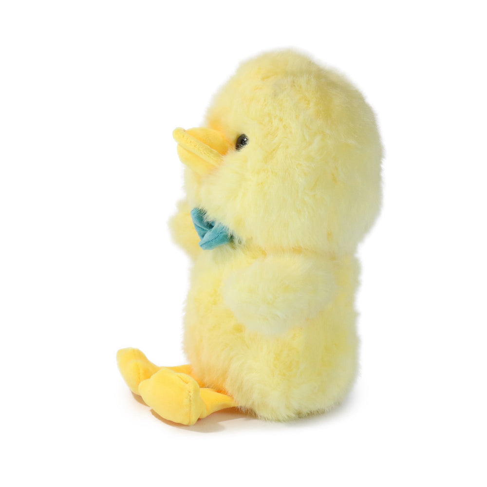 Dashing Bashful Duck (ONLINE ORDER ONLY)