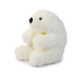 Buzzy Bear (ONLINE ORDER ONLY)