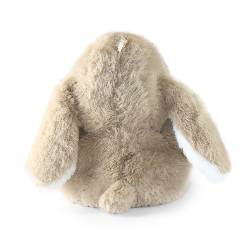 Benny Bunny (ONLINE ORDER ONLY)