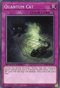 Quantum Cat [SBCB-EN200] Common (ONLINE ORDER ONLY)