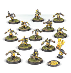 Blood Bowl Team - Goblins - The Scarcrag Snivellers (Online Order Only)