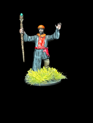 Human Wizard (ONLINE ORDER ONLY)