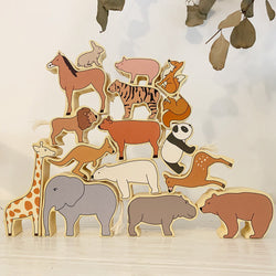 Animal Balance Building Blocks (ONLINE ORDER ONLY)