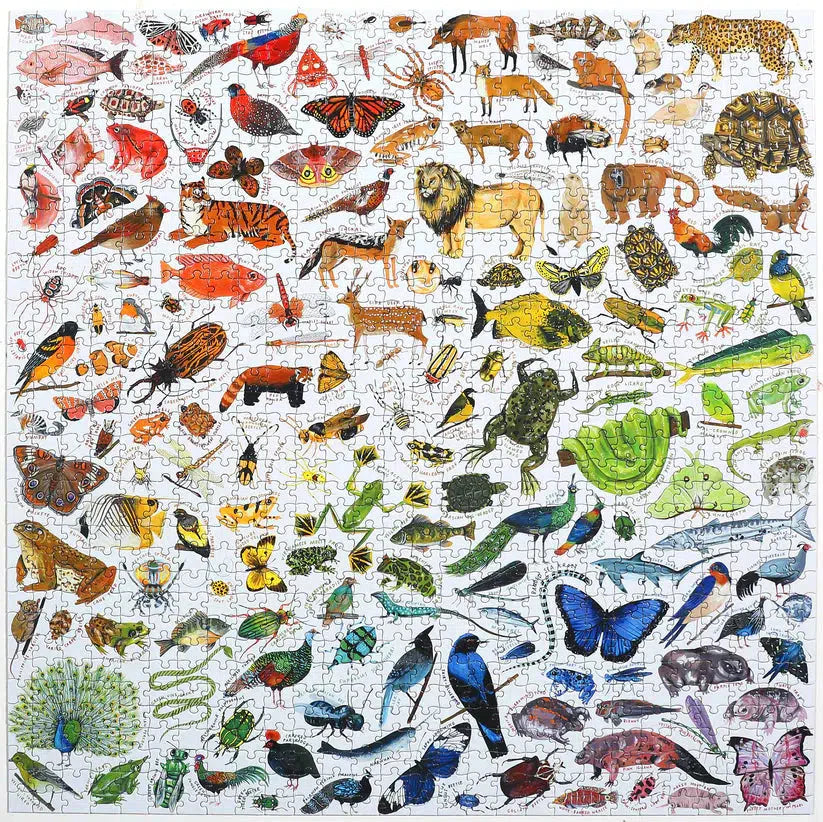 A Rainbow World 1000 Piece Jigsaw Puzzle eeBoo (ONLINE ORDER ONLY)